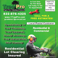 TreePro logo