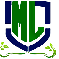 Montenegro Landscaping Services LlC logo