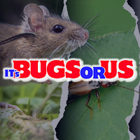 ITS BUGS OR US logo