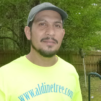 Aldine Tree Services Houston Stump Grinding logo