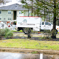 The Urban Foresters logo