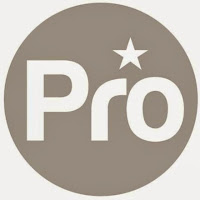 Prostar Builders Inc. logo