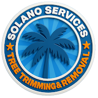 Solano Services Tree Trimming + Removal logo
