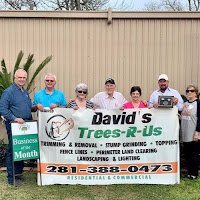 David's Trees R Us logo