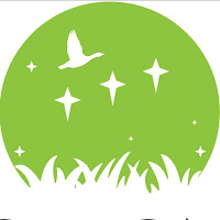 Orion Turf and Landscape logo