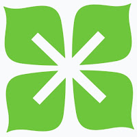Organic Green Window Clean logo