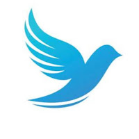 Early Birdie Plumbing logo