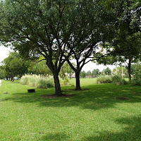 Christian Brother Tree Services LLC logo