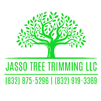 Jasso Tree Trimming LLC logo