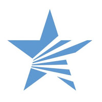 Lone Star Pro Services logo
