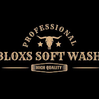 Bloxs Softwash logo