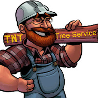 TNT Tree Service logo