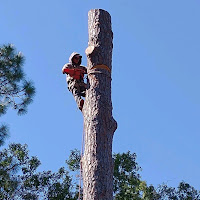 tree service fence woodflooring and tile logo