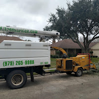 J & J Tree Services logo