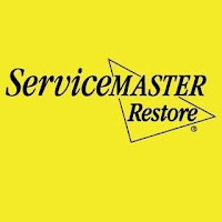 ServiceMaster DSI – Houston logo