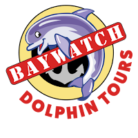 Baywatch Dolphin Tours logo